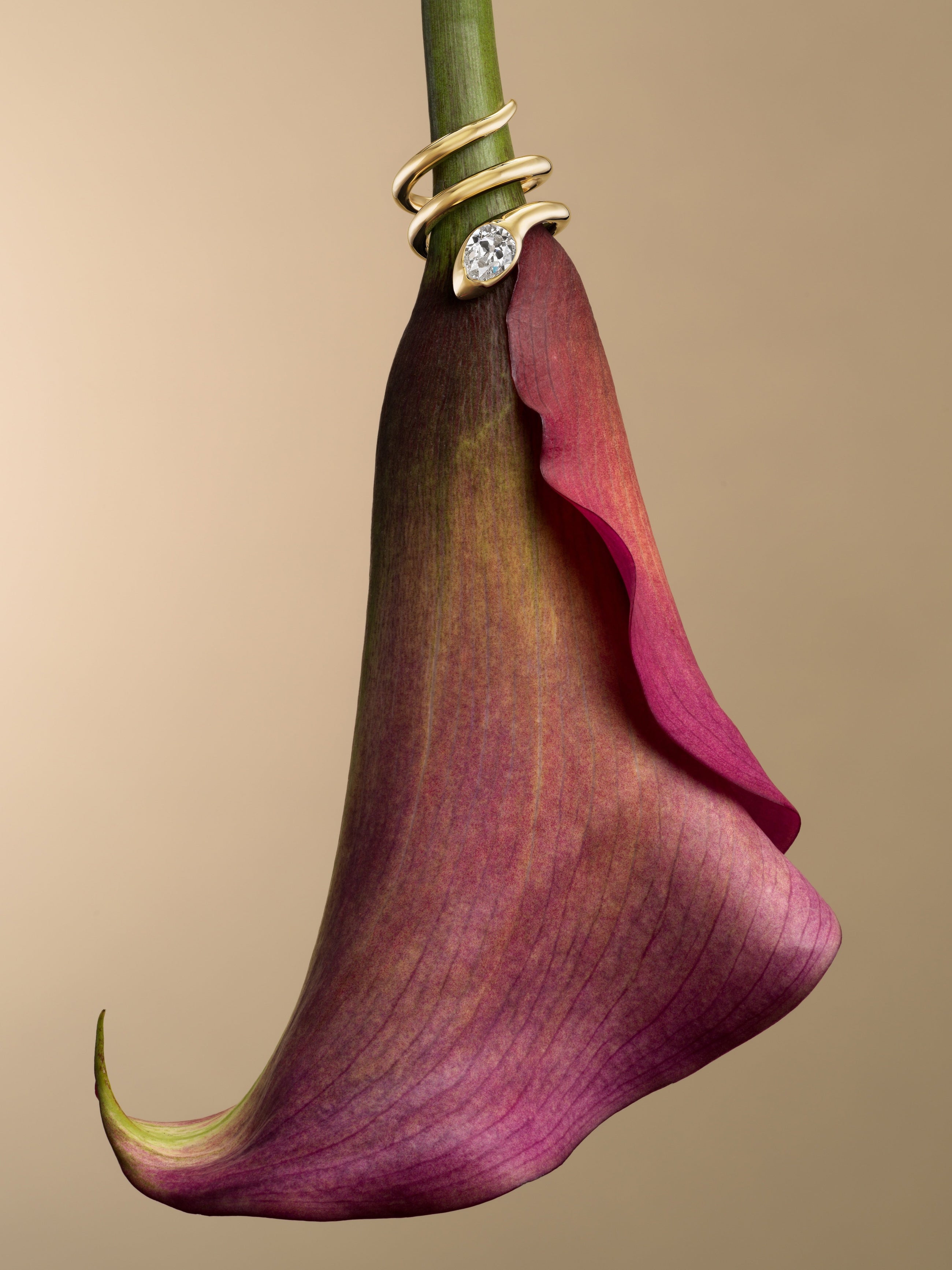 Snake Pinky Wrap Ring